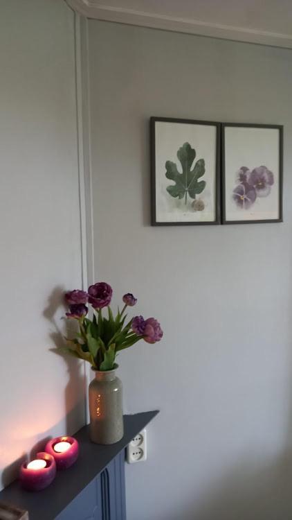 Woudthuisje Laag-Soeren ภายนอก รูปภาพ