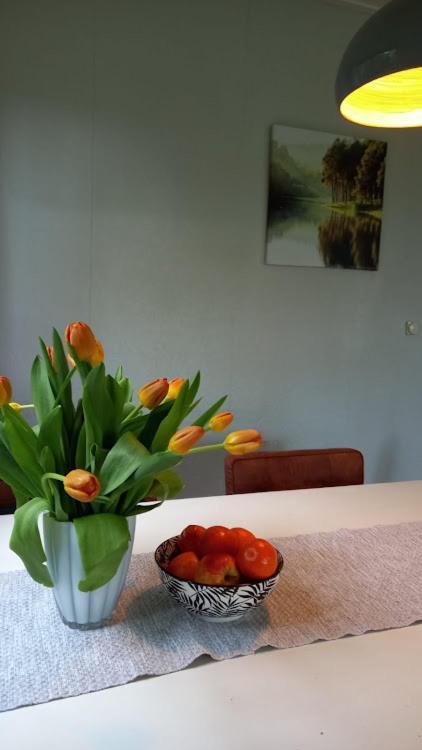 Woudthuisje Laag-Soeren ภายนอก รูปภาพ